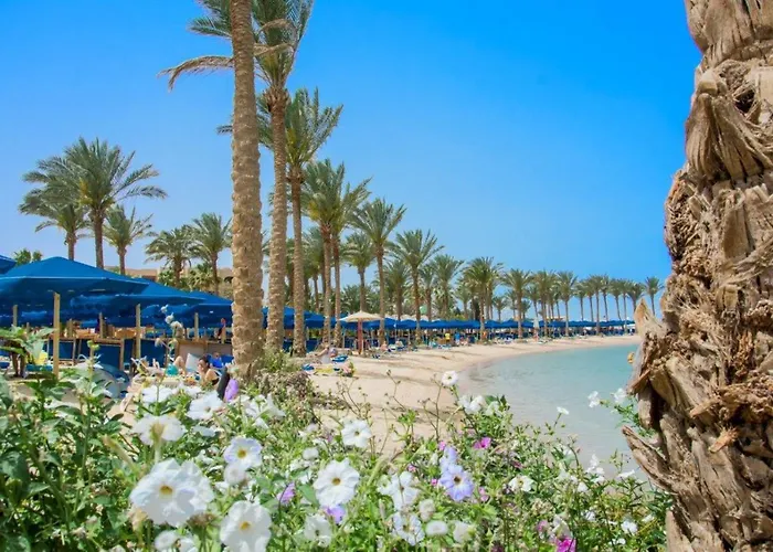 Resort Continental